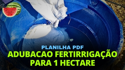 PLANILHA ADUBAÇÃO FERTIRRIGAÇÃO 1HA CULTURA DA MELANCIA