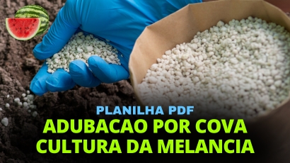 PLANILHA ADUBAÇÃO POR COVA CULTURA DA MELANCIA