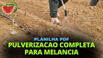 PLANILHA PULVERIZAÇÃO COMPLETA CULTURA DA MELANCIA