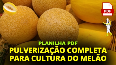 PLANILHA PULVERIZAÇÃO COMPLETA CULTURA DO MELÃO