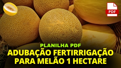 PLANILHA ADUBAÇÃO FERTIRRIGAÇÃO 1HA CULTURA DO MELÃO