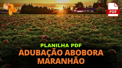 PLANILHA ADUBAÇÃO ABOBORA MARANHÃO