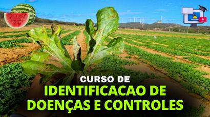 CURSO IDENTIFICAÇÃO DE DOENÇAS NA CULTURA DA MELANCIA