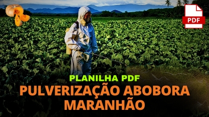 PLANILHA PULVERIZAÇÃO CULTURA DA ABOBORA MARANHÃO